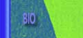 bio